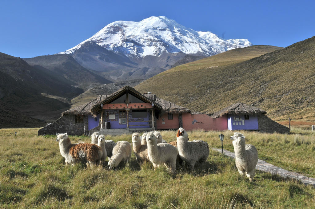 Chimborazo Lodge Kültér fotó